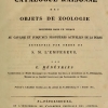 sat teneates men1